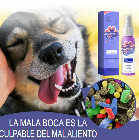 Spray Dental Pet