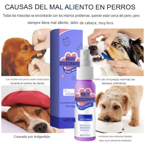 Spray Dental Pet