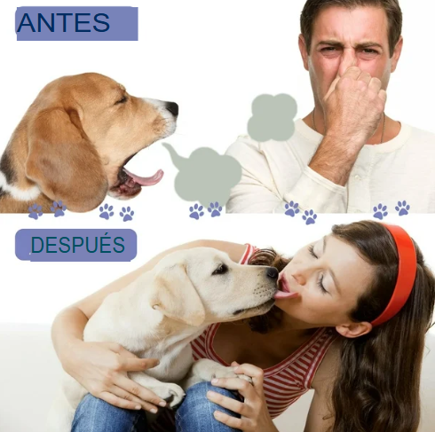 Spray Dental Pet